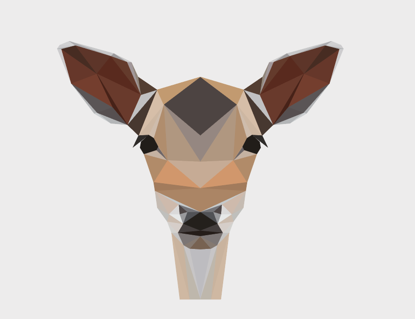 Triangulation – Premiers pas sur Illustrator